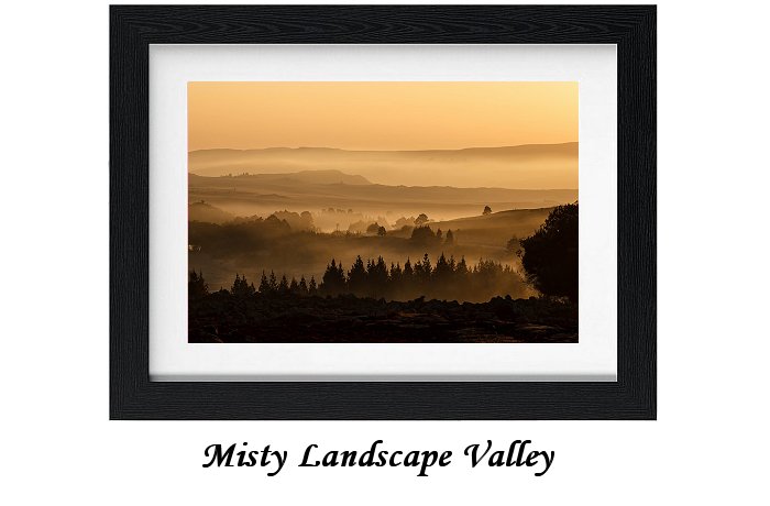 Misty Landscape Valley